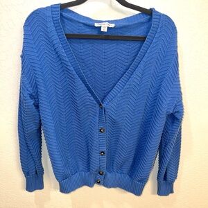 Amour Vert Bright Blue Chevron Button Cardigan